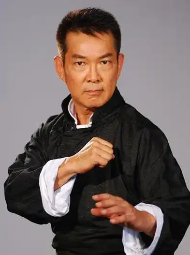 香港最牛的武术派别扛起香港武打片半边天