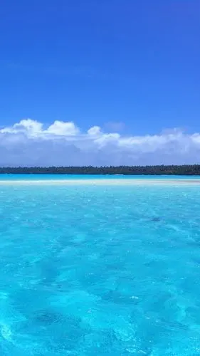 唯美清晰蓝海