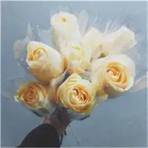 香槟玫瑰送给最爱的她好看的玫瑰花头像图片