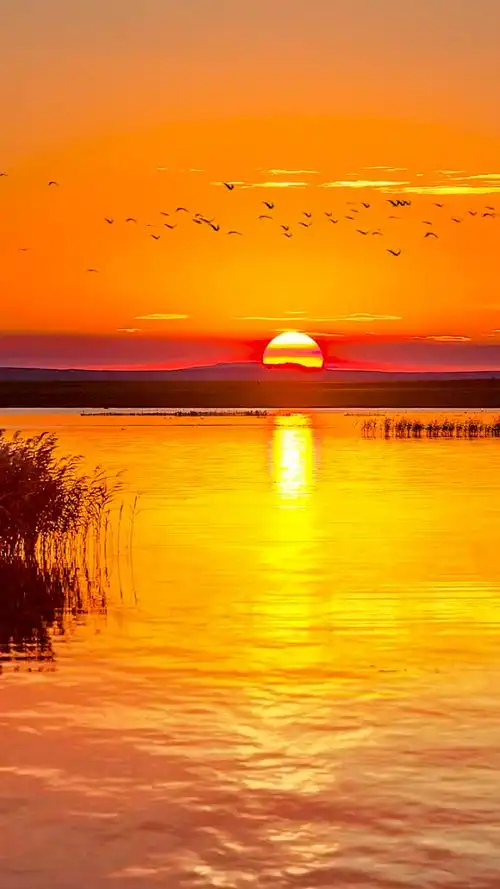 比如看到这样的风景你会说:"日出东方催人醒,不及晚霞懂我心"而不是"