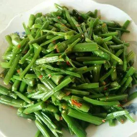 凉拌野芹菜的全部作品