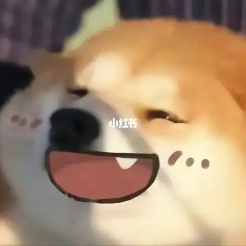 可爱柴犬表情包