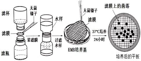 2】测定水样是否符合饮用水卫生标准,常用滤膜法测定大肠杆菌的数目