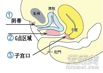 千里马免费计划app