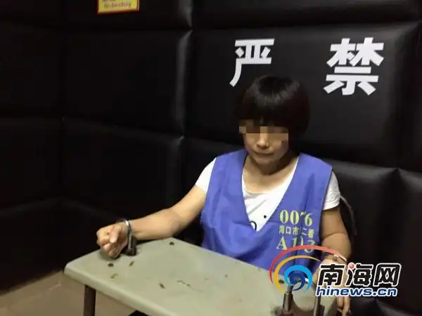 该局秀英派出所近日破获系列诈骗案,抓获犯罪嫌疑人程某梅(女,42岁