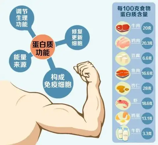 骨质疏松易摔倒,原来是这里出了问题|蛋白质|白蛋白|酪蛋白|骨质疏松