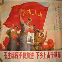 70年代经典头像图片大全_微信头像图片大全