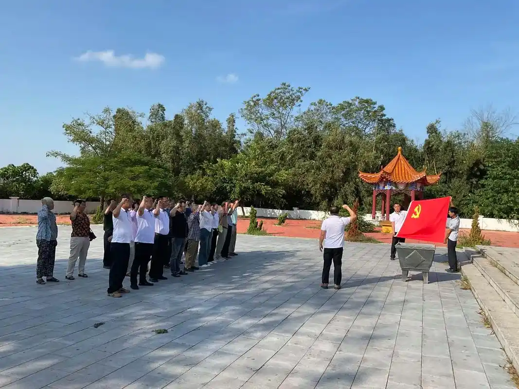 全体党员开展主题党日活动 - 抖音