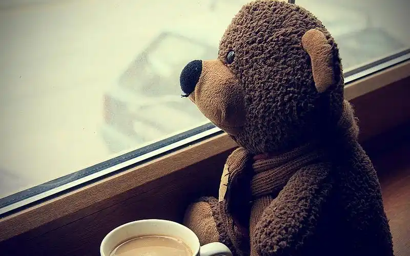 泰迪熊,可爱,咖啡,窗外,泰迪熊壁纸图片