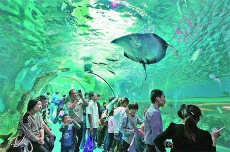 天下第一泉风景区大明湖景区海底世界