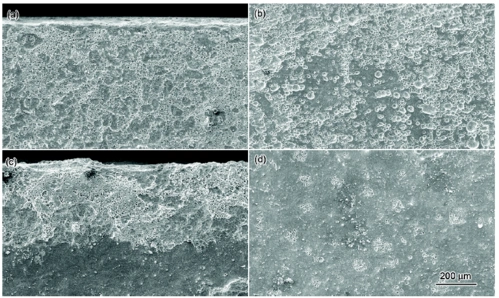 流场环境中az31镁合金的腐蚀行为研究