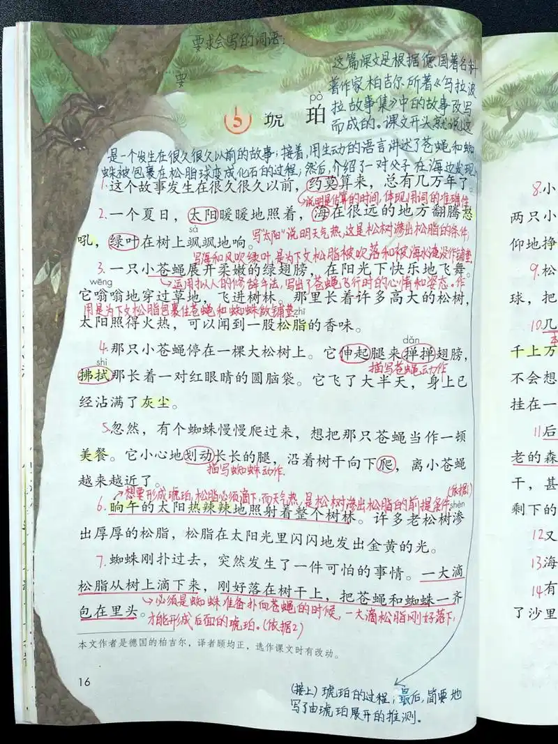 四下|四年级下册课文5《琥珀》超详细课文 部编版小学语文四年级下册