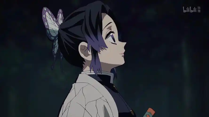 鬼灭之刃 蝴蝶忍 - 堆糖,美图壁纸兴趣社区