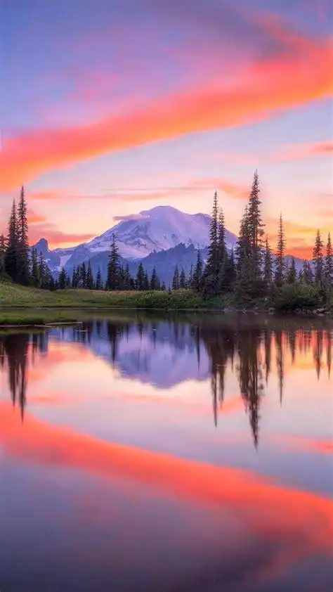 手机壁纸图片大全唯美手机壁纸图片大全高清2022已更新今日更新