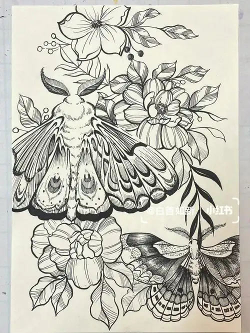 刷到的作品,看着好好看,今天临摹了一下,感觉好好#线描  #黑白  #创意