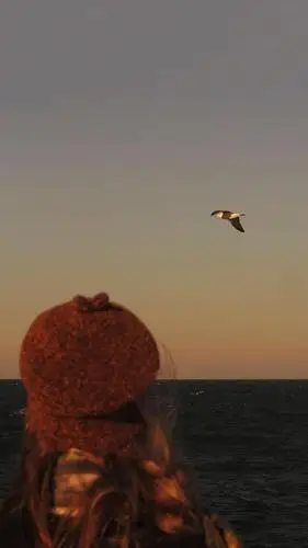 晚安暖心的一句话,精致唯美,触动心灵!