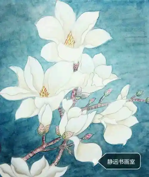 玉兰花图片工笔绘画(玉兰花图片工笔绘画 作品)