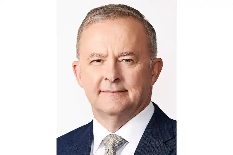 p>安东尼·阿尔巴尼斯(anthony albanese),男,1963年3月2日生