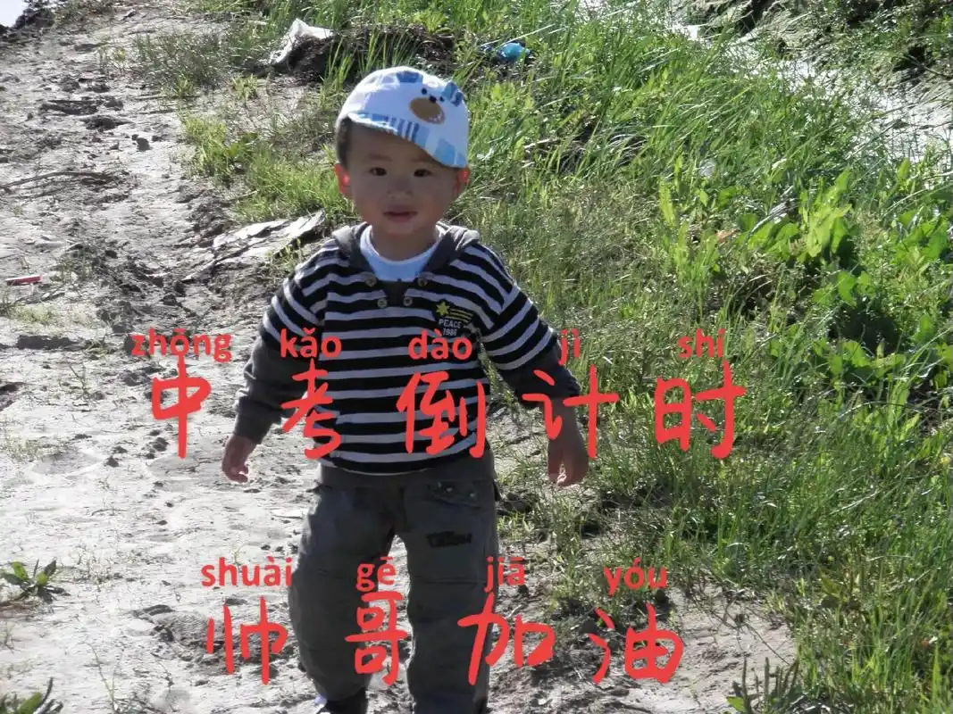 2008年的淘小子一晃就长大了,中考倒计时,愿你考神附体,超 - 抖音