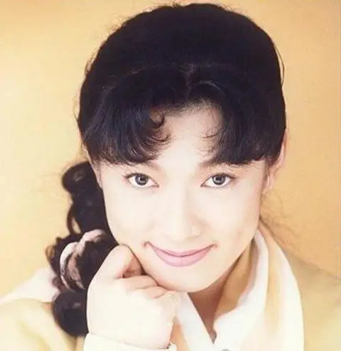 中国台湾乐坛10大老牌玉女歌手现状红极一时的台湾玉女歌手3