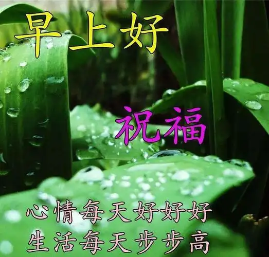 2021年6月17日星期四清晨早上好问候祝福图片 周四最新早安图片带字