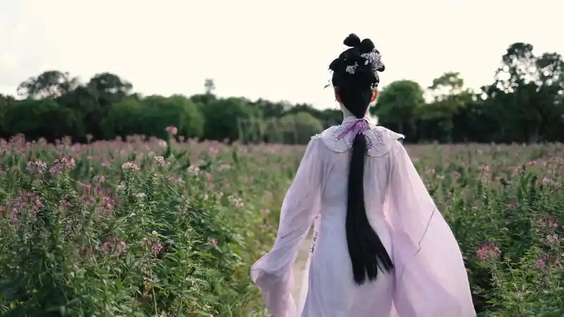 4k古风汉服美女在醉蝶花海中奔跑背影古风古装美女