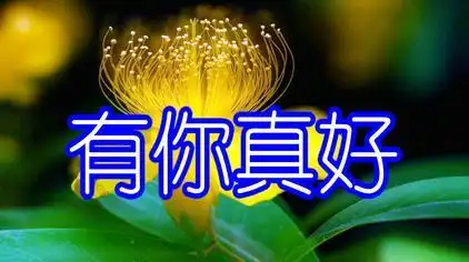 歌曲有你真好风语唱的歌词 - 西瓜视频