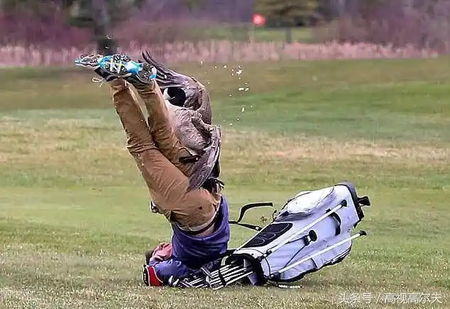 「高尔夫趣闻」打高尔夫时竟被鸟袭击