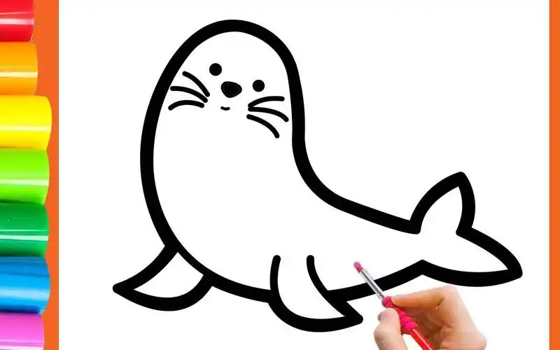 和我一起学画画,今天我们来画一头海豹!