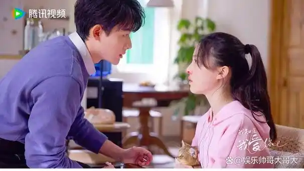 2024年正在热播的十部电视剧你在看哪一部