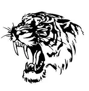 汽车反光虎图腾引擎盖划痕装饰贴纸机头盖贴画车盖贴纸老虎头车贴