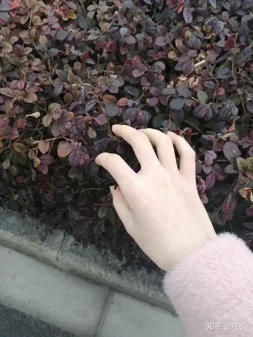 女生的手怎样变好看