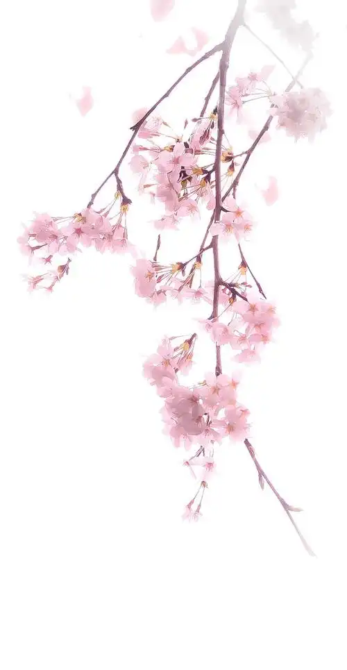 我将以融雪的速度向你奔来