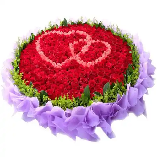 1314朵红色玫瑰花图片