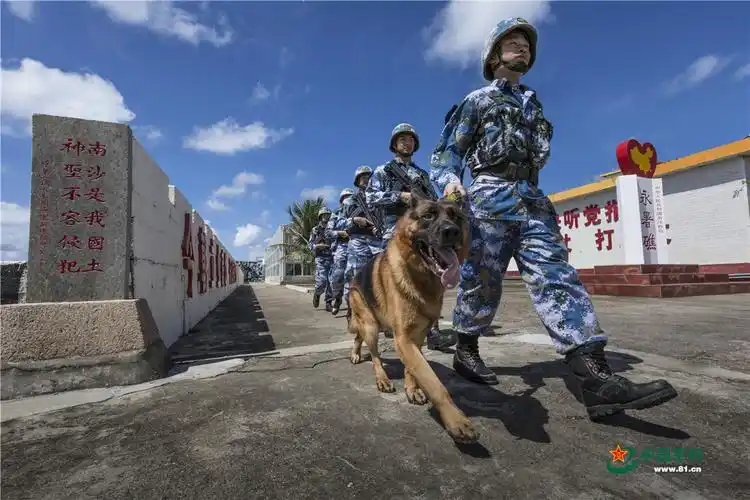 南沙守备部队军事训练 似唯美大片