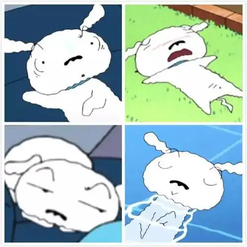 跟无厘头的野原一家生活许久后,小白不仅掌握了变棉花糖,挠小鸡鸡等