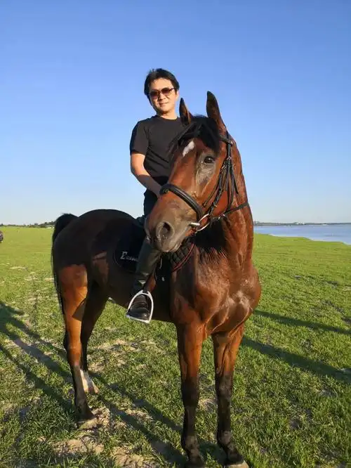 【大家】栾树:那一天,音乐人开始与马术一起摇滚!