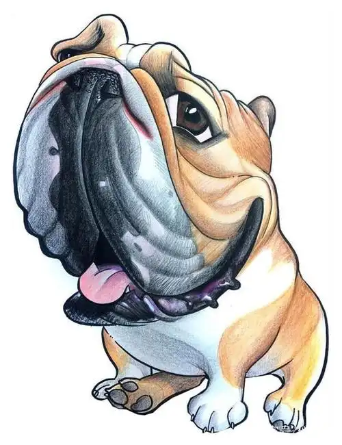 教你画宠物夸张肖像漫画似颜绘