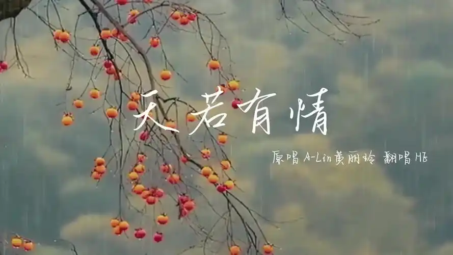 古风天若有情翻唱生当复来归死当长相思