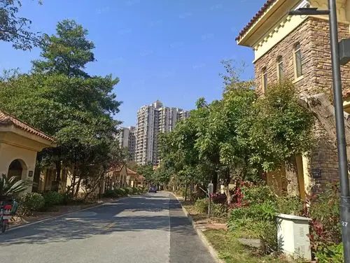 清远奥园6室3厅6卫347㎡南北450万