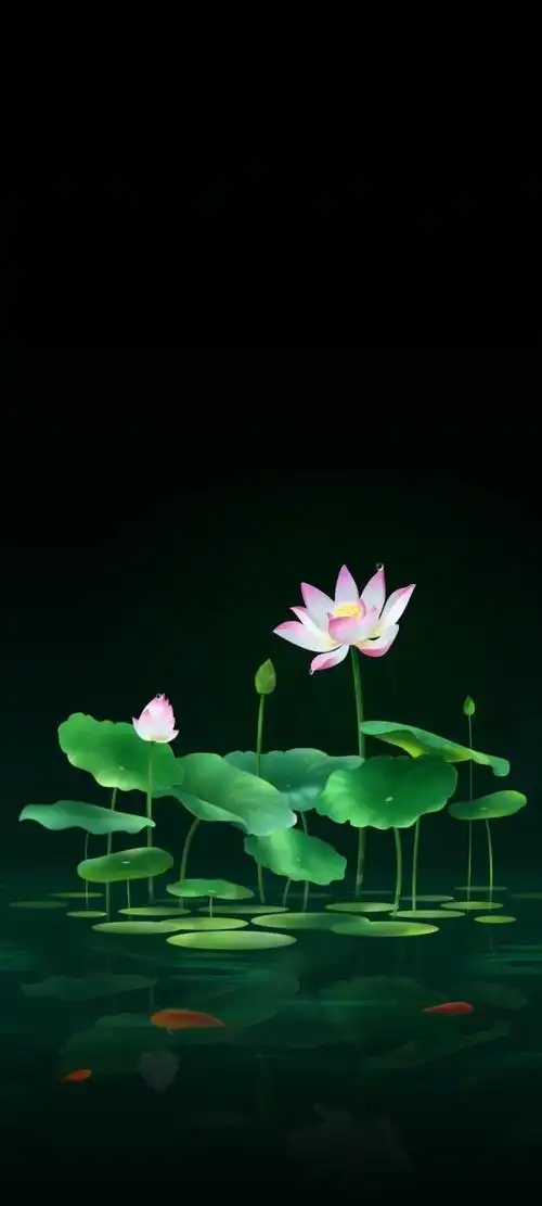 0125壁纸|个性全面屏壁纸