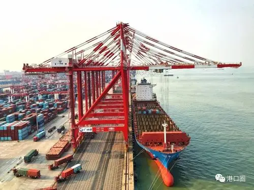 港口随手拍丨大美南沙三期码头的日与夜