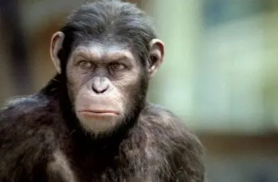 猩球崛起猿族与人类之间战争