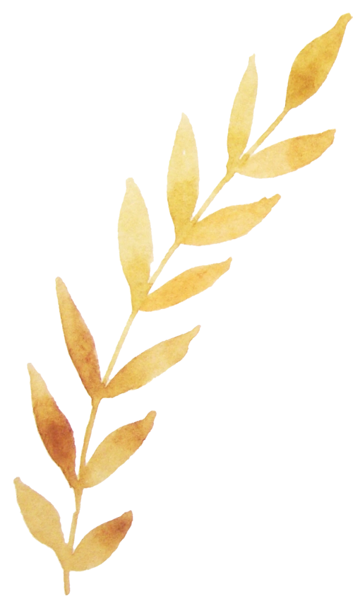 素材库.免费素材.网页制做.名片设计素材