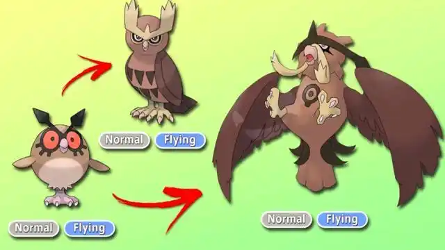 神奇宝贝:宝可梦新的分支进化,咕咕成海盗鹰,溜溜糖球被绿了