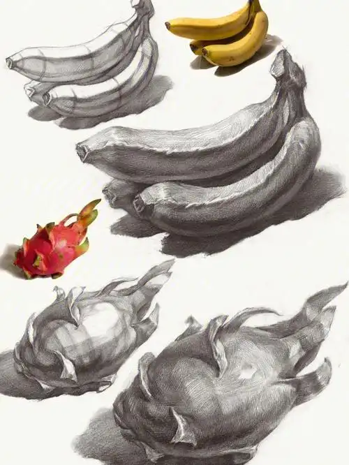 素描水果分享单体塑造基础入门系列