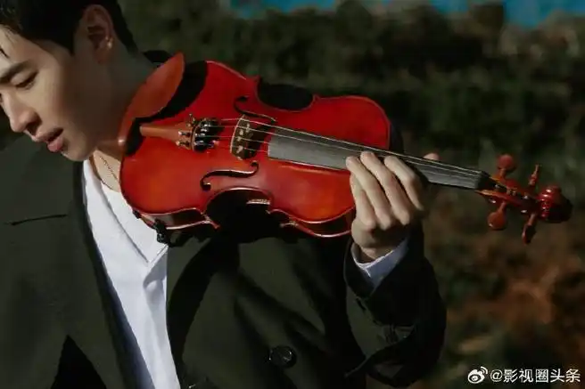 刘宪华海边拉小提琴氛围感