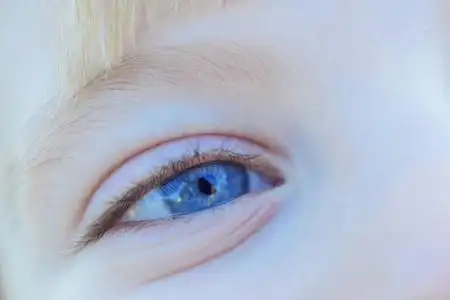 蓝眼睛的微笑两岁儿童特写在浅景深照片