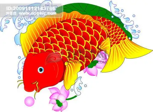 鲤鱼的简笔画带颜色优秀儿童简笔画涂色作品教程 小鲤鱼的画法详细