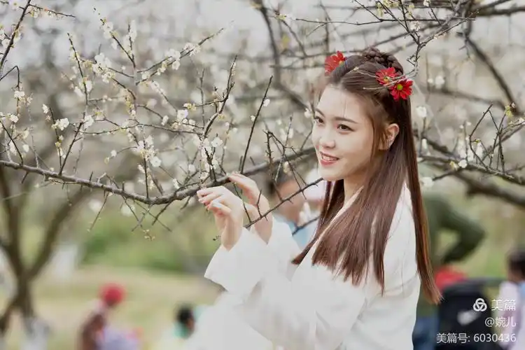 梅花树下醉仙子